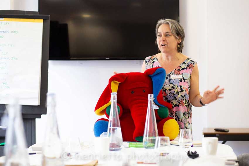 Productivity speaker elephant in the room Productivity speaker Juliet Landau-Pope speaking about procrastination at a business networking event, holding an elephant to represent the elephant in the room
